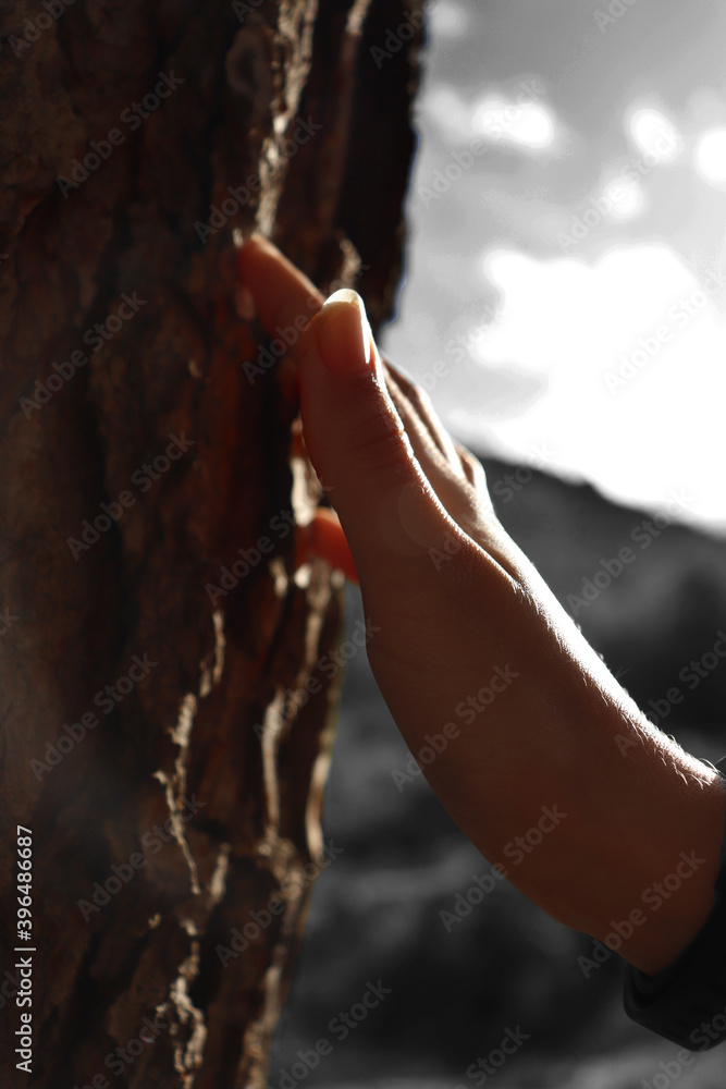 Detailed photograph taken of my sister touching the bark of a centenary tree located in Jaén.