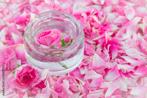 Transparent cream gel in a glass jar. The rose flower was drowned in the cream. Beauty of flowers. Flower cream. Pink roses. Background. Copy space.