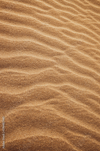 Sand on the beach of the Caspian Sea