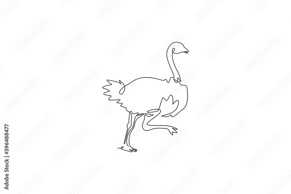 Single continuous line drawing of cut ostrich bird run fast. Endangered animal national park conservation. Safari zoo concept. Trendy one line draw graphic design vector illustration Single continuous line drawing of cut ostrich bird run fast. Endangered animal national park conservation. Safari zoo concept. Trendy one line draw graphic design vector illustration