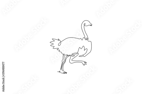 Single continuous line drawing of cut ostrich bird run fast. Endangered animal national park conservation. Safari zoo concept. Trendy one line draw graphic design vector illustration