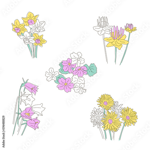 Vector illustration of five kinds of flowers for icons, banner, web site, postcard, catalog design or print. Trollius, daffodil, violet flower, chrysanthemum and bell flower colored outlines
