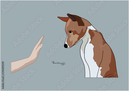 Vector Illustration of Dog  Basenji