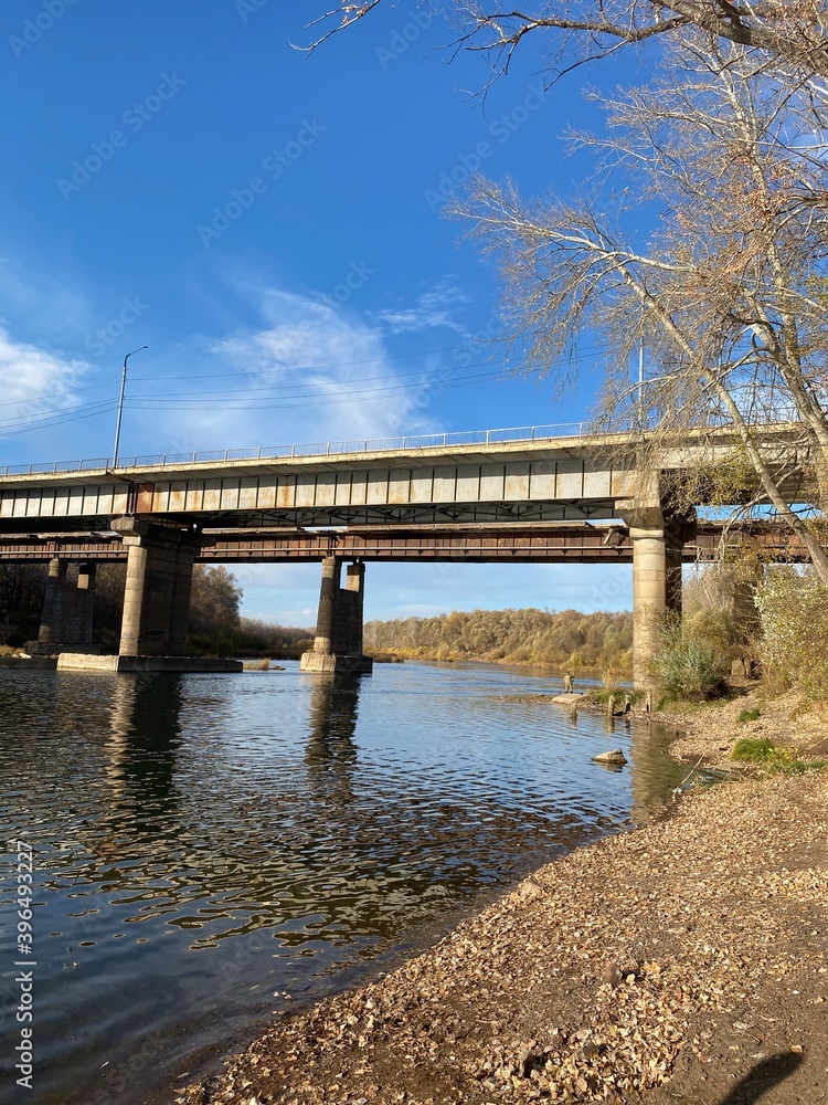 bridge over river in the park