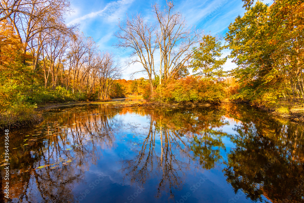 Captain Daniel Wright Woods Forest Preserve autumn view in Illinois