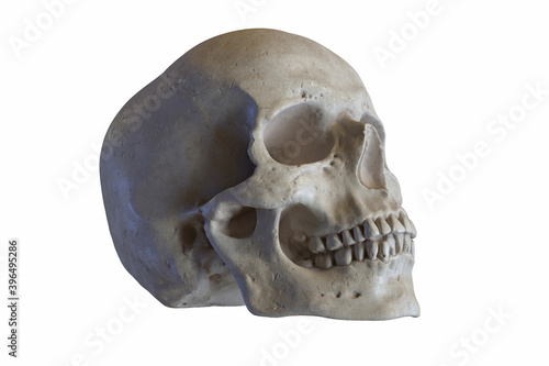 3D render of Marble sculpture of Human Skull isolated on white