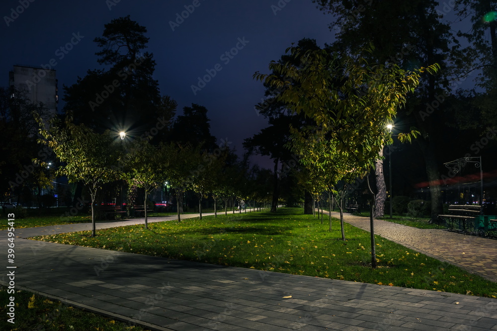 The teiled road in the night park with lanterns in autumn. Bench