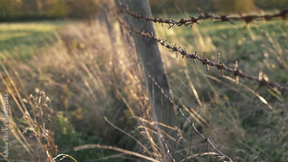 Barbed wire and wooden fence in farmland wide tilting shot Barbed wire and wooden fence in farmland wide tilting shot