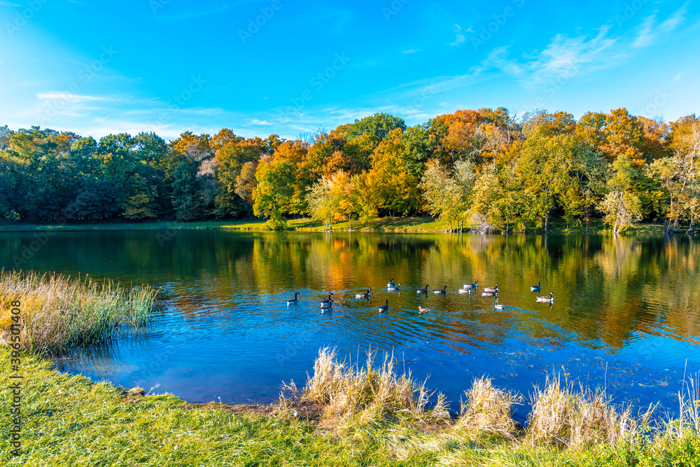 Potawatomi Woods and Lake view in Wheeling Township of Illinois