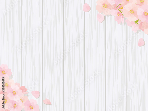 桜と木の板の背景-Cherry blossoms and wooden board background
