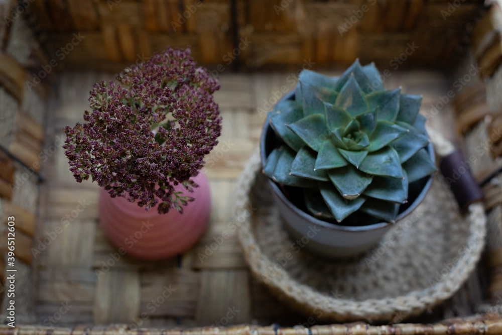 Homemade flowers in pots are on the window.