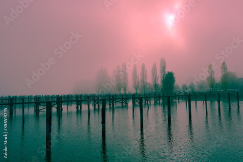 Bodenseeufer Insel Reichenau