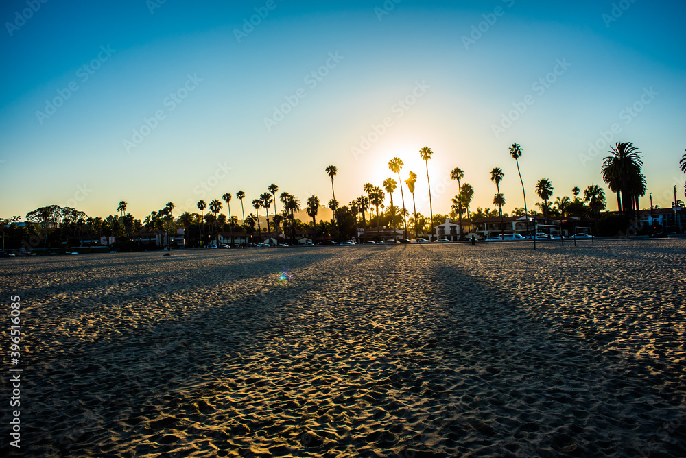 Sunset behind the palm trees, Santa Barbara, California, USA
