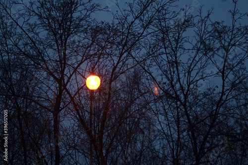 bright lantern in the early winter morning © EvgenyBelenkov
