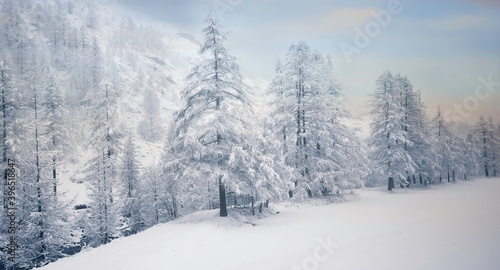 Panoramic view winter landscape with forest, trees covered snow and sunrise scenery mood © SASITHORN