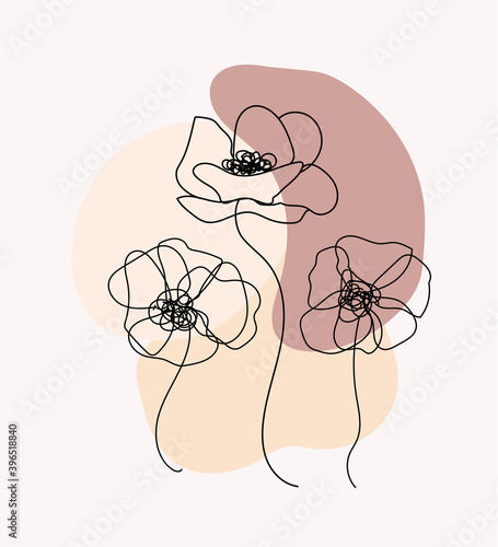background with lines and circles flower
