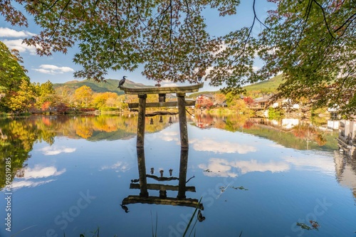 湯布院金鱗湖