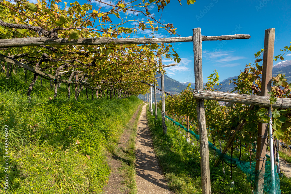 Auf dem Marlinger Waalweg über Meran, Südtirol Auf dem Marlinger Waalweg über Meran, Südtirol