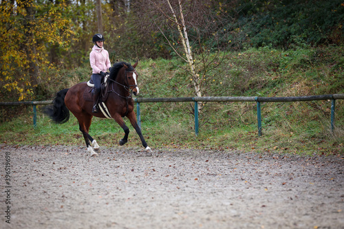Horse in upward gallop with rider on the riding arena, space for text on the right..