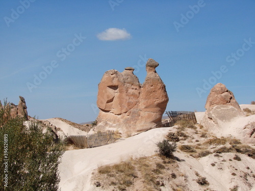 View of the rocks in the shape of camels smoothly walking on the sandy desert under the blazing sun. photo