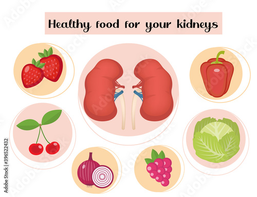 Healthy food for your kidneys infographic. Concept of food and vitamins, medicine, kidney disease prevention. Vector illustration