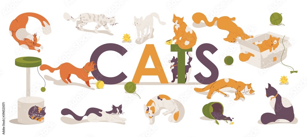 Cats large lettering with kitties playing, sleeping and moving. Vector pet characters drawn in vibrant colors with accessories