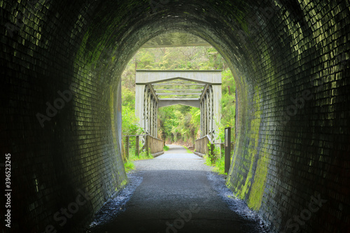 An old brick rail tunnel  looking out on a bridge and forest. Photographed in the Karangahake Gorge  New Zealand  where this historic tunnel is now a walkway for hikers