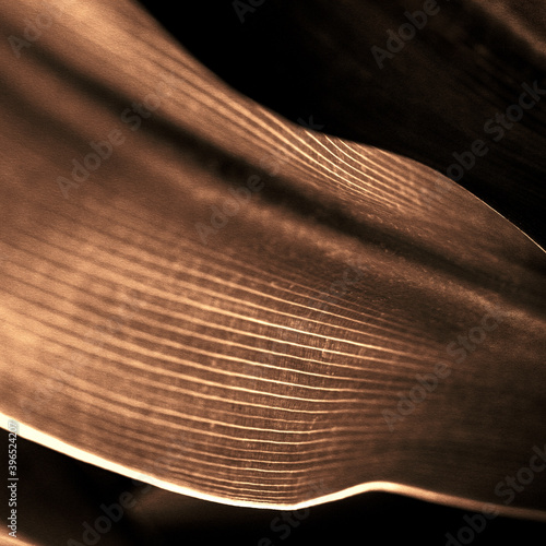 Copper streak textured background design
