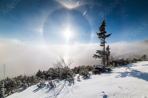 Halo effect around winter morning sun, clouds inversion and snow covered trees photo