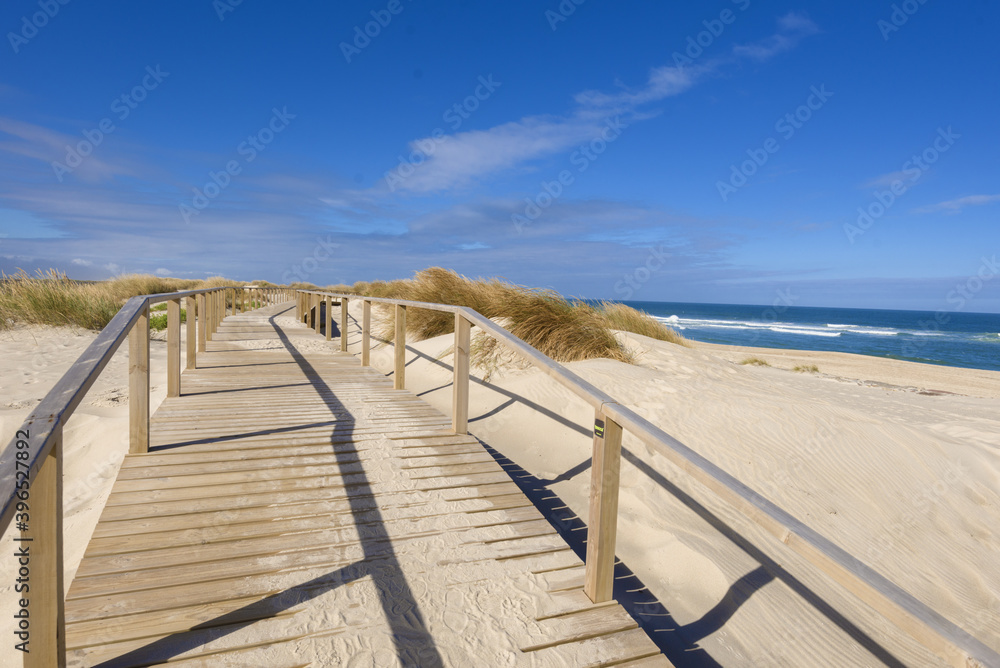 sand dunes and windbreak in Costa Nova, Aveiro district, Portugal