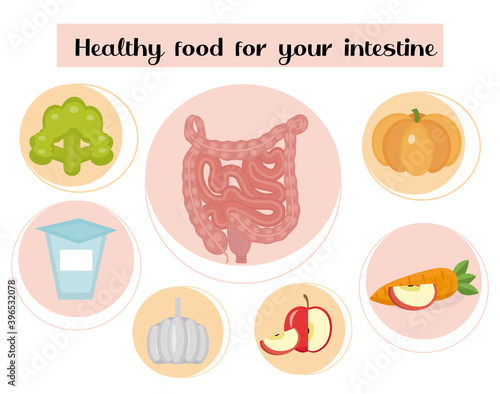 Healthy food for your intestines. Concept of food and vitamins, medicine, prevention of digestive system diseases. Vector illustration