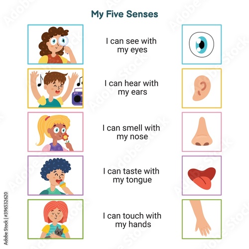 My five senses educational poster for kids. Sight, hearing, smell, taste, touch