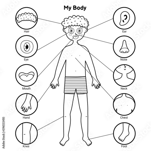 My body parts black and white educational poster with a boy. Learning human body for school