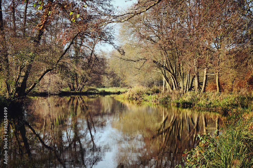 A calm River Wey on a cold sunny winter's morning, Godalming, Surrey, UK