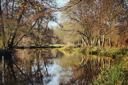 A calm River Wey on a cold sunny winter's morning, Godalming, Surrey, UK