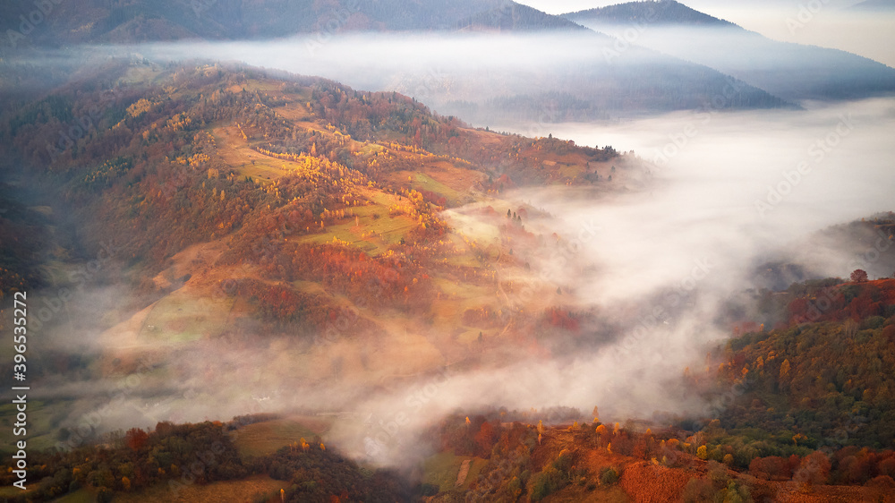 Beautiful Autumn mountain panorama. Landscape with meadow and colorful forest. Red, Yellow, Orange trees on hillsides.