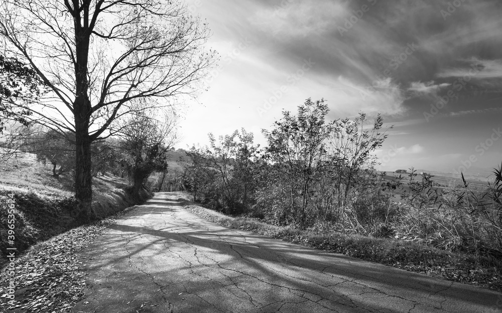 Countryside landscape in the morning, empty road, black and white Countryside landscape in the morning, empty road, black and white