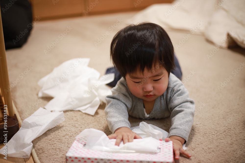 ティッシュを取り出す赤ちゃん ティッシュを取り出す赤ちゃん