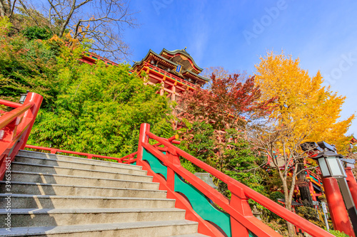                                                 Autumn Yutokuinari Shrine Saga-ken Kashima city