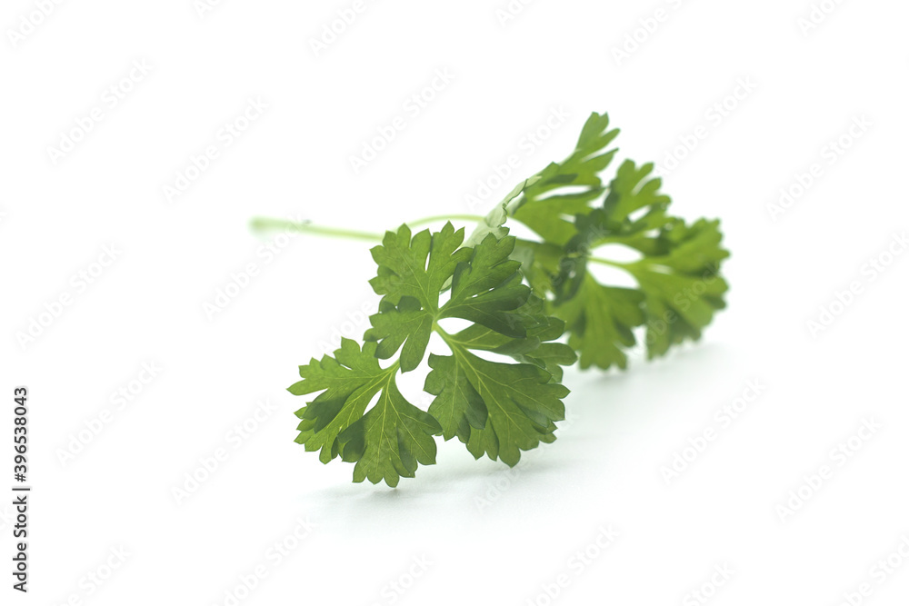 Fototapeta premium Closeup of organic parsley leaf on white background
