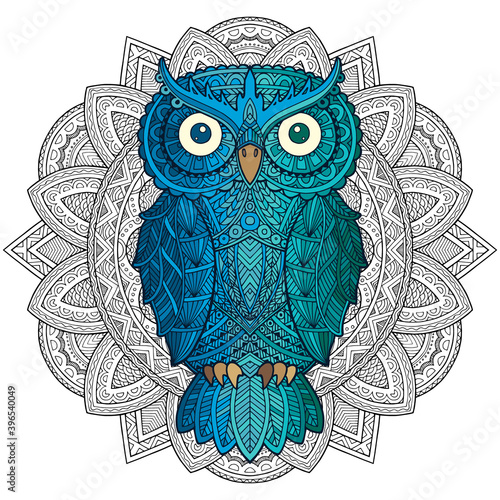 Patterned owl on the petterned background. African, indian, totem design. It may be used for design of a t-shirt, bag, postcard, a poster and so on. Ethnic doodle motifs. Owl - vector illustration.