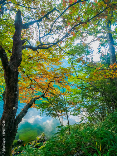 Calm lake seen between foliages (Tochigi, Japan)