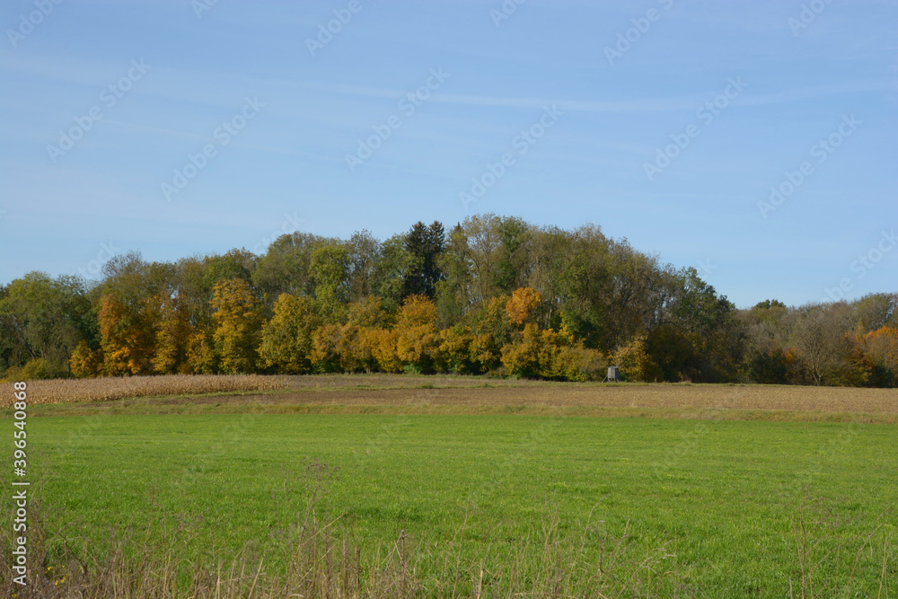 autumnal landscape with idyllic high seat and field and woodland