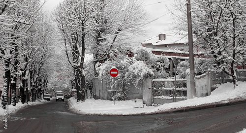Piękna zima. Śnieg na gałązkach. Ulika Lwowa.