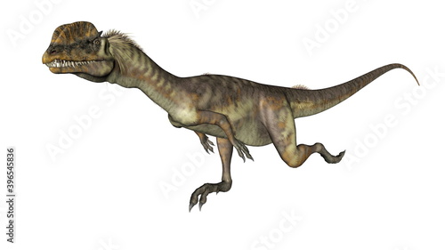 Dilophosaurus dinosaur running isolated in white background - 3D render