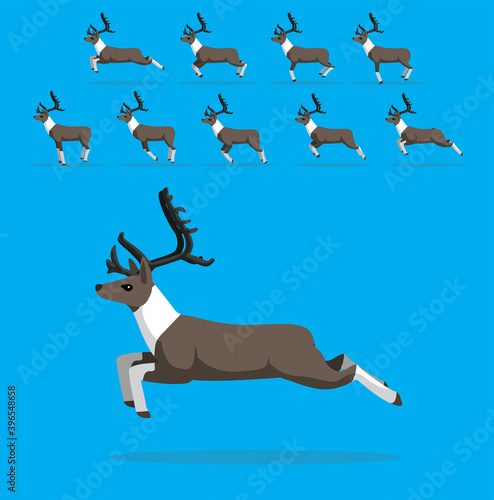 Animal Animation Sequence Christmas Reindeer Running Cartoon Vector