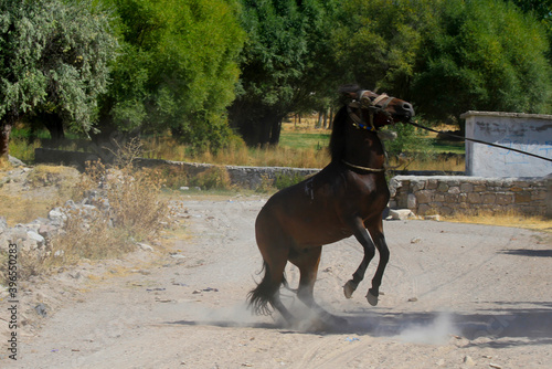 Avdalaz castle Phrygia, Frig Valley in Ayazini, Afyon/TURKEY. photo