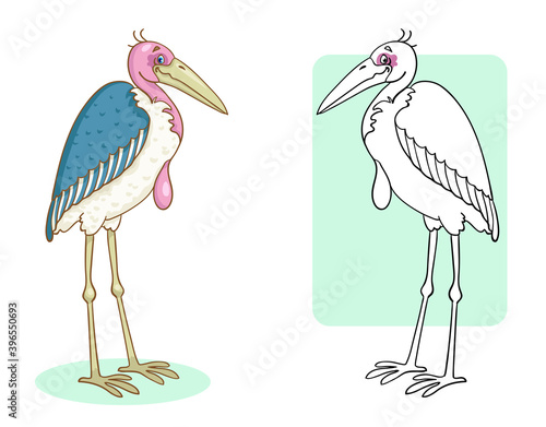 Funny marabou bird. Coloring page with colorful example. In cartoon style. Vector illustration. For coloring book.