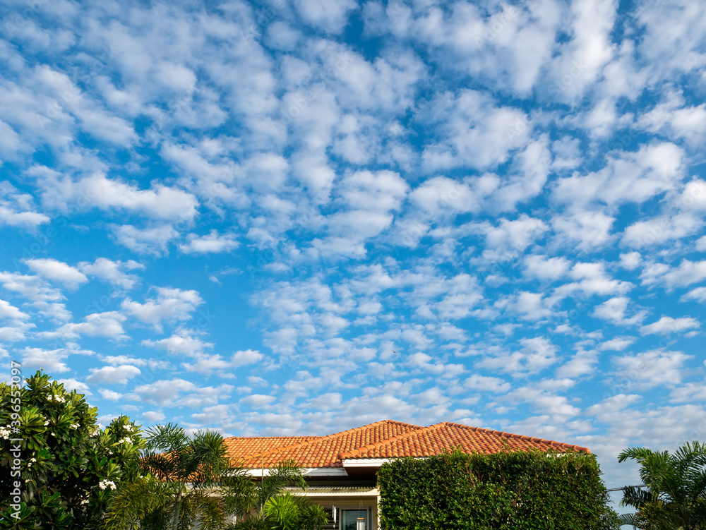 Sky is Cloudy Like a Cotton Balls, Below is The Roof Sky is Cloudy Like a Cotton Balls, Below is The Roof