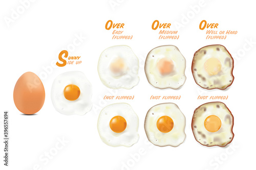 Fried eggs with raw egg picture, in basic style level of doneness set (Flipped & not flipped), vector illustration on white background. 